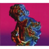 New Order - Technique - CD
