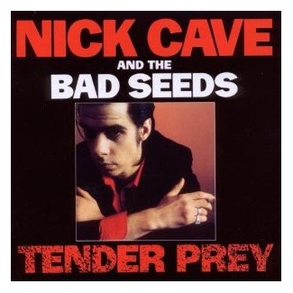Cave Nick - Tender Prey - CD