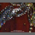 Erasure - Live at 2005 (2CD)