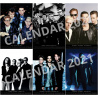 Depeche Mode - Nástěnný Kalendář 2021 (Depeche Mode)